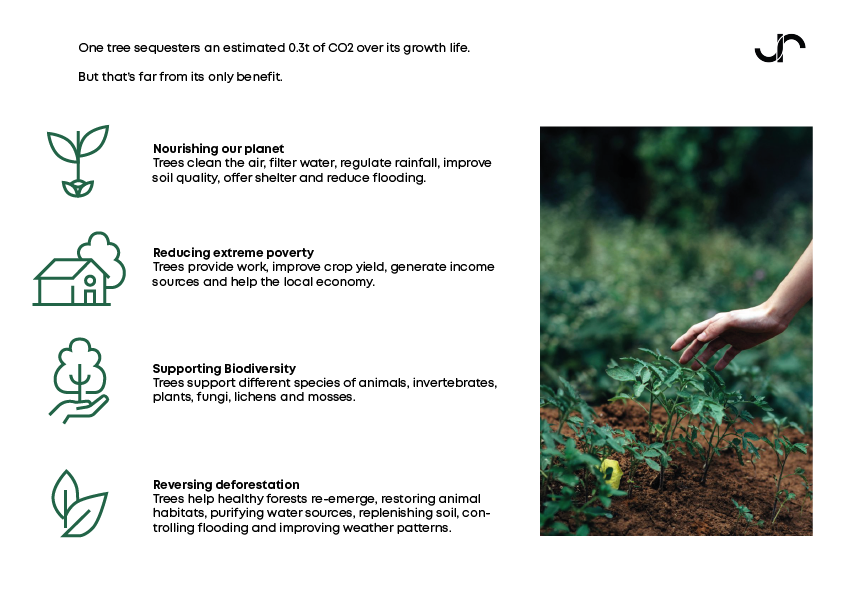 Plant more tress Joy Resolve barisieur coffee tea alarm clock